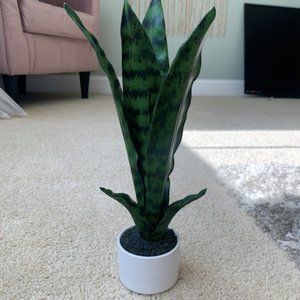 Faux mini snake plant